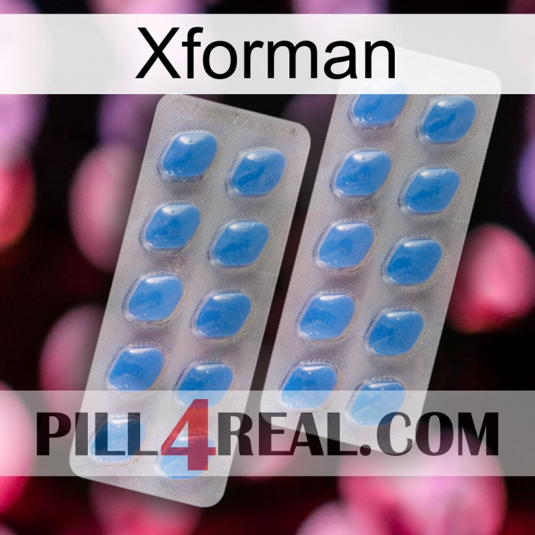 Xforman 23